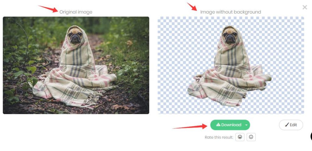 stickers whatsapp imagen fondo