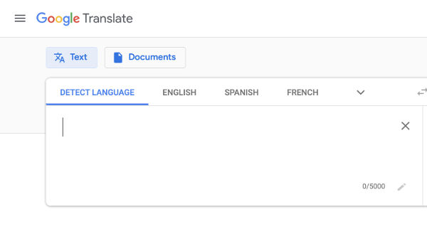 Google Translate interface