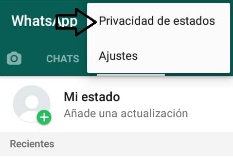 Cómo elegir quiénes pueden ver mi estado de Whatsapp