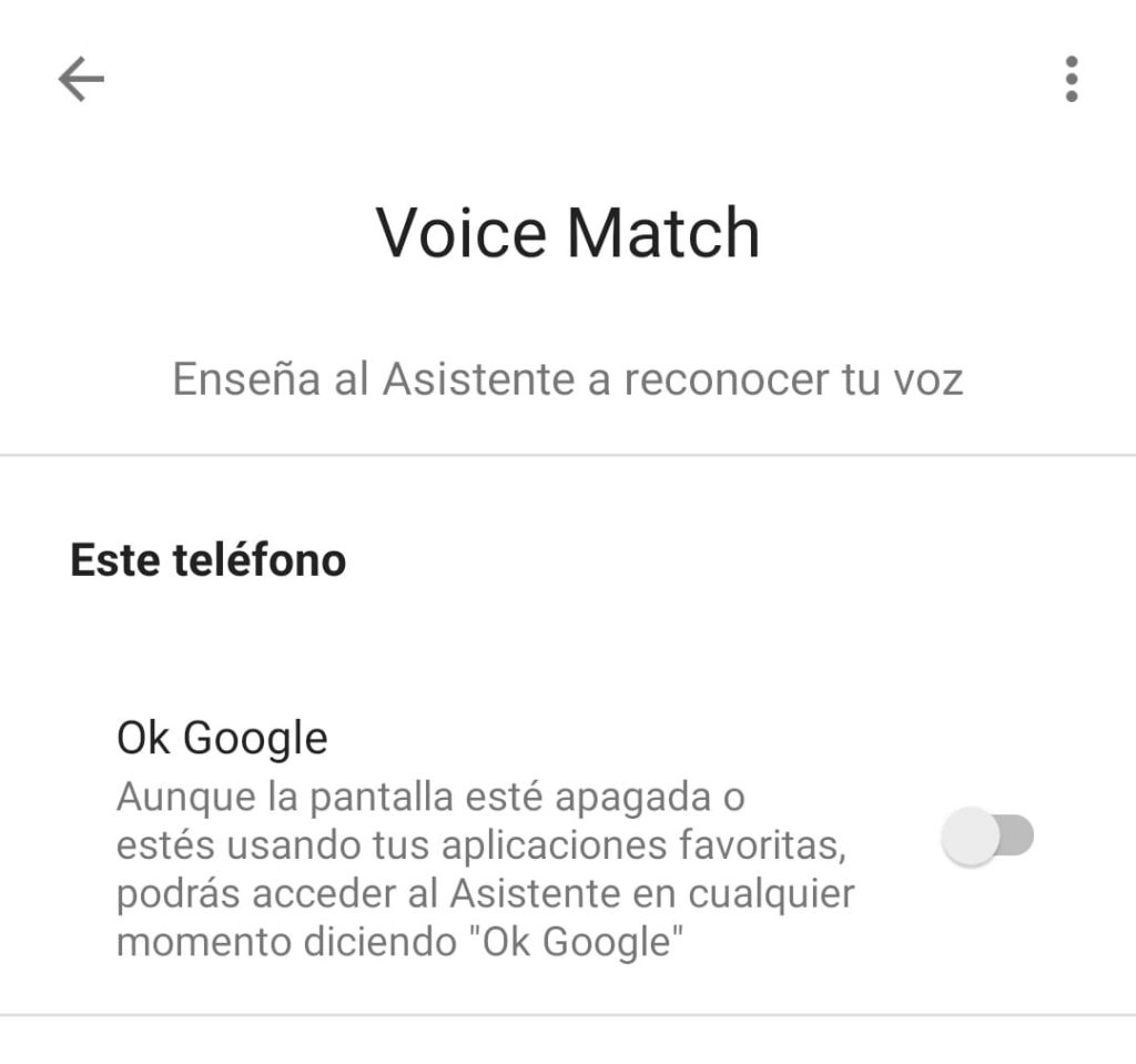 voice match de google