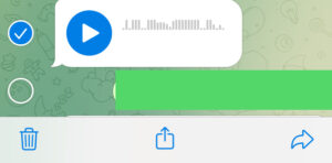 Chat de Telegram mostrando una marca de verificación al lado de una nota de voz y un icono con el símbolo de compartir.