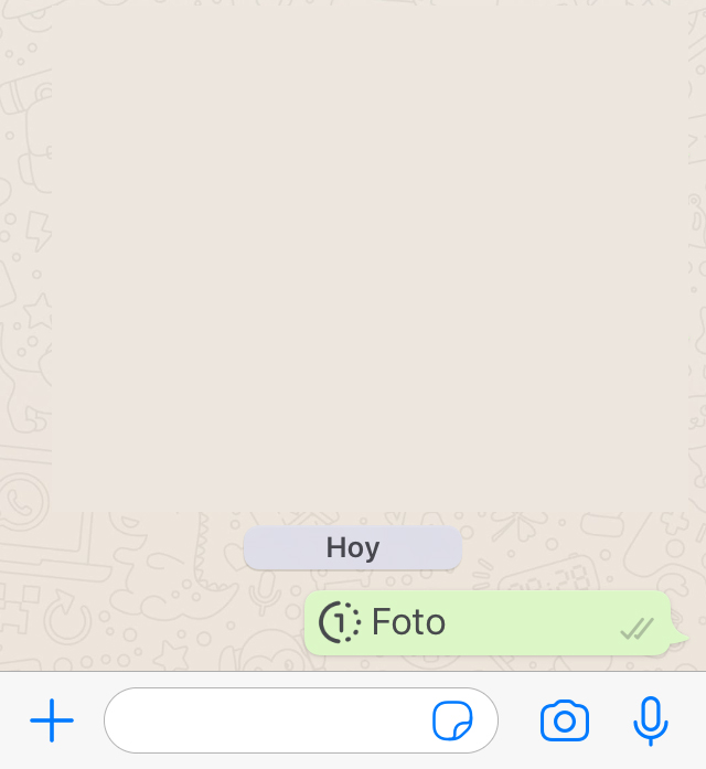 Chat de WhatsApp en donde se ha enviado una foto usando la Visualización Única. Se observa un mensaje que dice “Foto”, y en donde aparece un “1” dentro de un círculo.