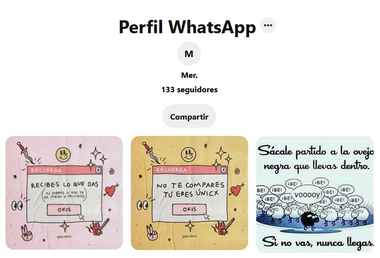 Sitio web de Pinterest mostrando una colección de imágenes llamada “Perfil WhatsApp” del usuario @mmerchg.