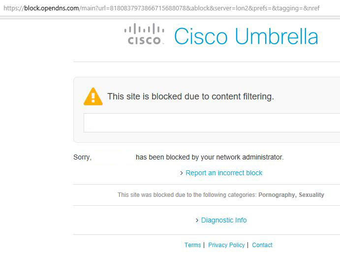 Navegador web mostrando un mensaje de OpenDNS diciendo que la página a la que el usuario intentó entrar está bloqueada debido a que es una página con contenido sexual.