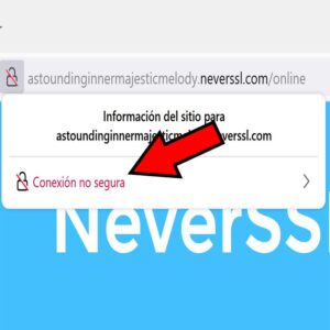 Sitio web de NeverSSL mostrando el mensaje “Conexión no segura”.