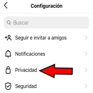 Opción “Privacidad” de Instagram.