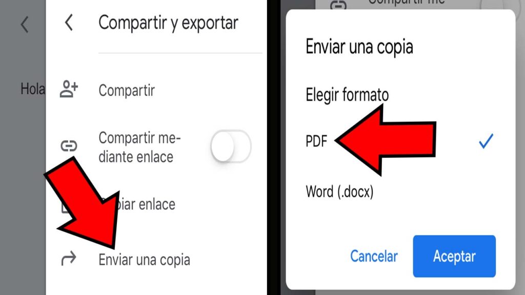 Opciones “Enviar una copia” y “PDF”.