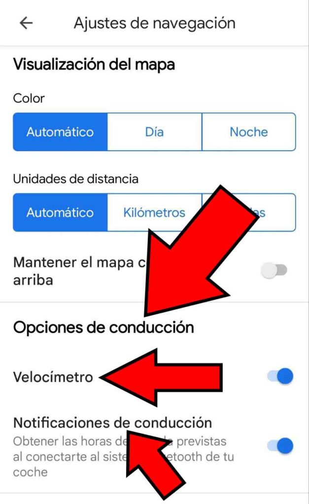 Apartado “Opciones de conducción”, y opciones “Velocímetro” y “Notificaciones de conducción”.