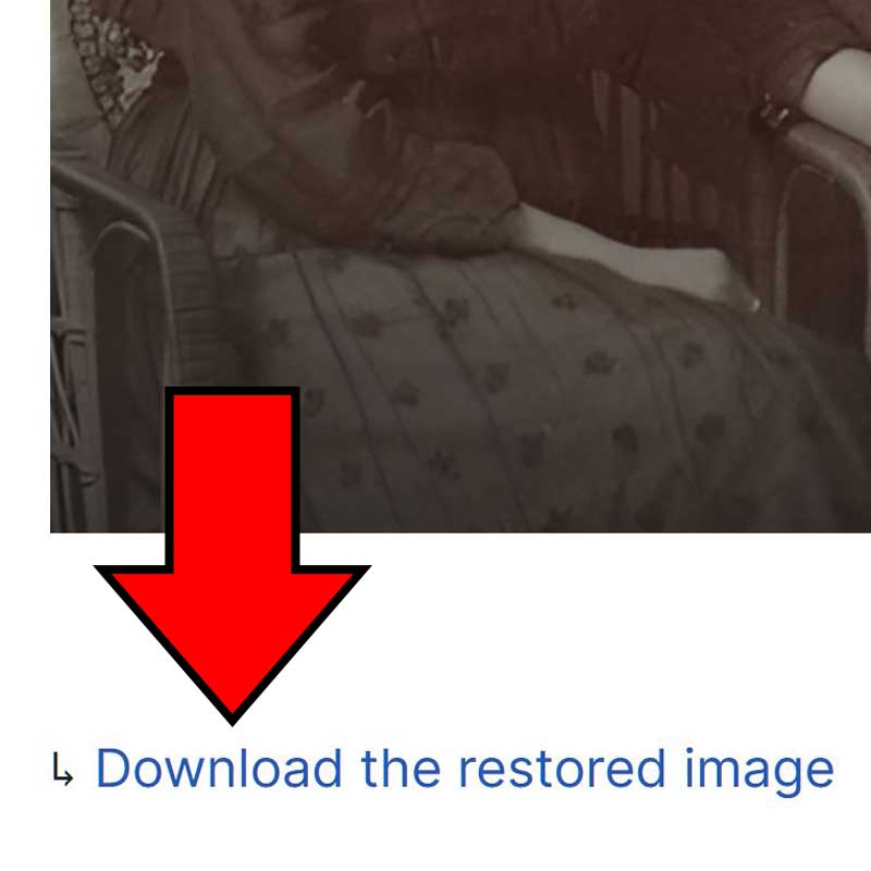 Enlace “Download the restored image”.