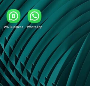 Android mostrando WhatsApp y WhatsApp Business.
