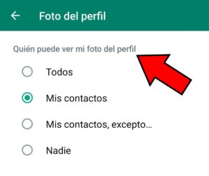 Menú de ajustes para configurar la privacidad de la foto de perfil de un usuario.