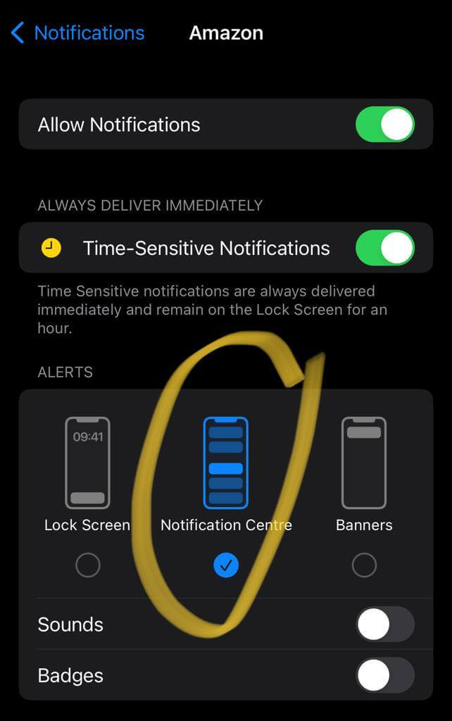 Notification settings in iOS