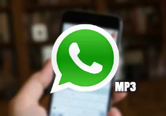 whatsapp mp3 notas de voz guardar