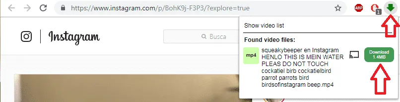 Cómo puedo descargar un vídeo de Instagram a mi celular