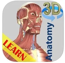 anatomy : app para estudiar la anatomía del cuerpo humano