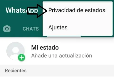 Cómo elegir quiénes pueden ver mi estado de Whatsapp