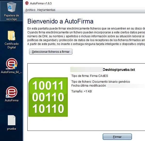 Programa Autofirma, en dónde se le ha insertado un fichero llamado prueba.txt, y en dónde se muestra el botón “Firmar”.