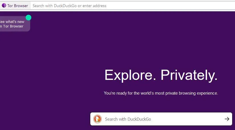 Navegador web de Tor.