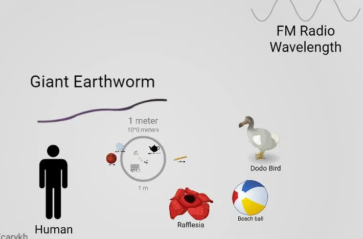 Página principal de Scale of the Universe 2. Se observan los tamaños de una pelota y un pájaro, y se comparan con el tamaño de una persona.