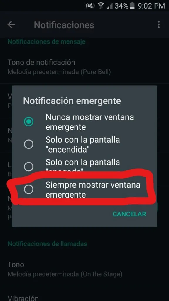 Leer mensajes de Whatsapp en una ventana emergente para evitar el doble check