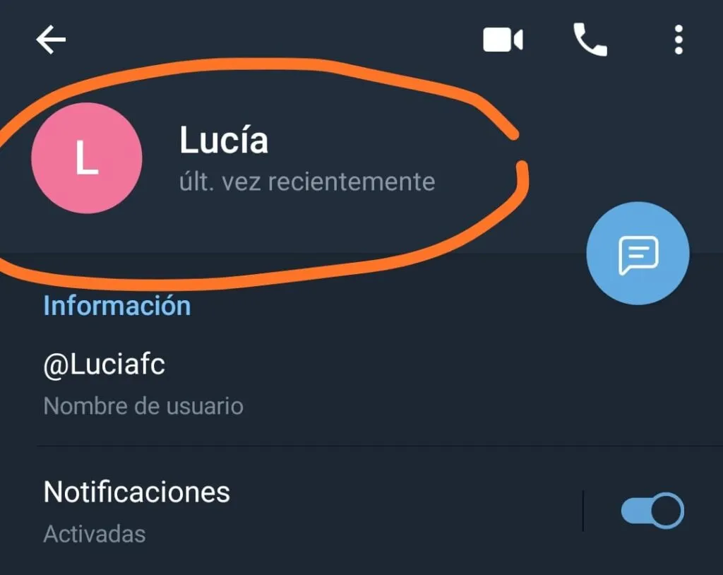 foto perfil contacto bloqueado telegram