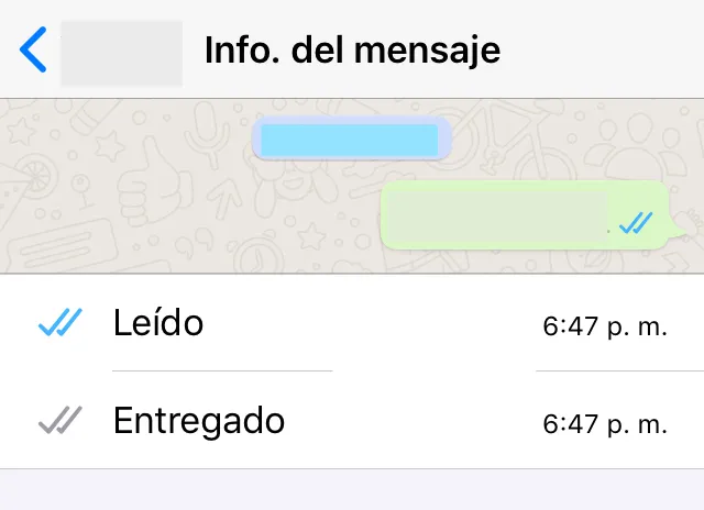 Ventana de un chat de WhatsApp mostrando unos apartados llamados “Leído” y “Entregado” junto con la hora en el que un mensaje fue leído y entregado.