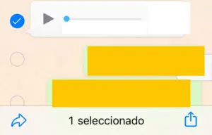 Chat de WhatsApp mostrando una marca de verificación al lado de un mensaje de voz y un icono con el símbolo de compartir. 