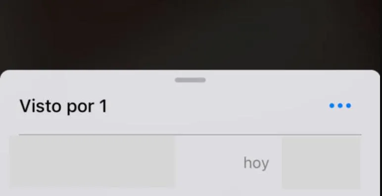 Quien Ha Visto Estado Whatsapp 02