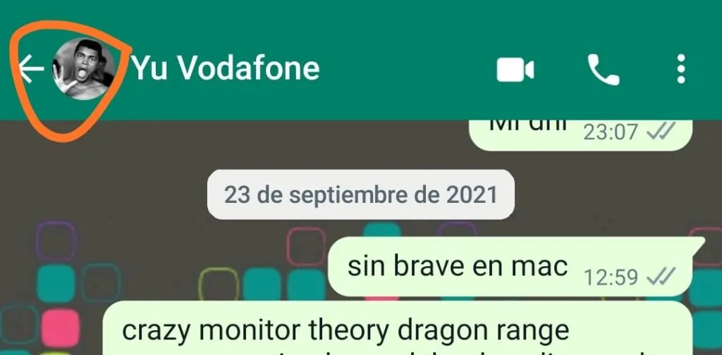 salirte del chat de whatsapp