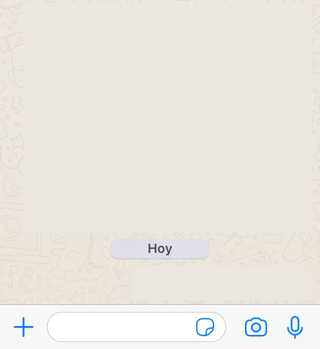 Chat de WhatsApp mostrando el icono del símbolo “+”.
