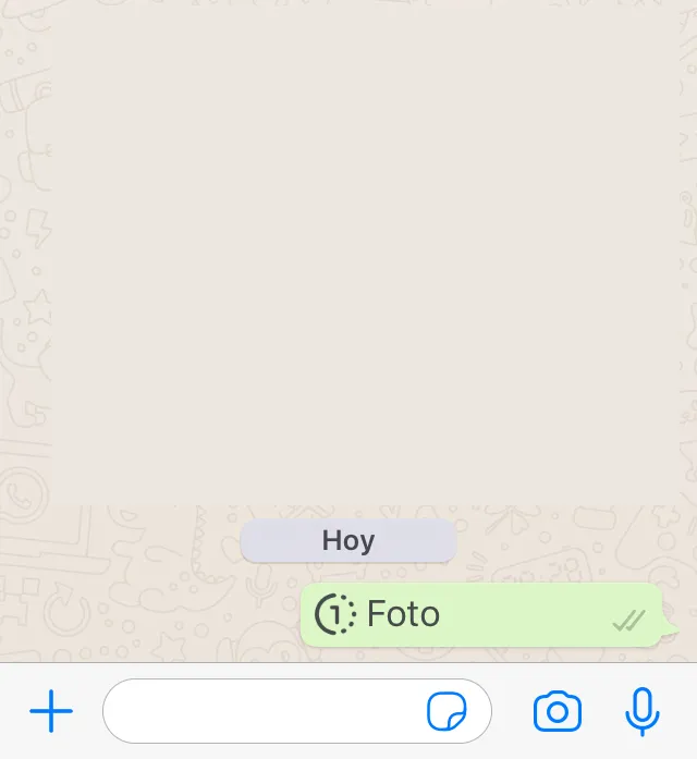 Chat de WhatsApp en donde se ha enviado una foto usando la Visualización Única. Se observa un mensaje que dice “Foto”, y en donde aparece un “1” dentro de un círculo.