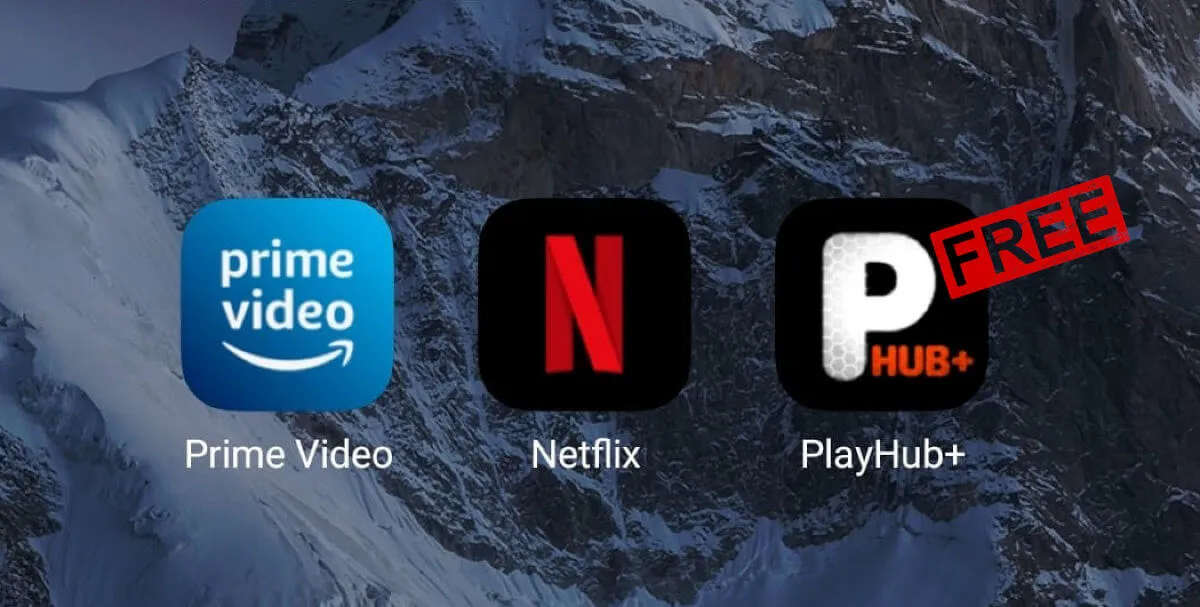 como descargar playhub plus