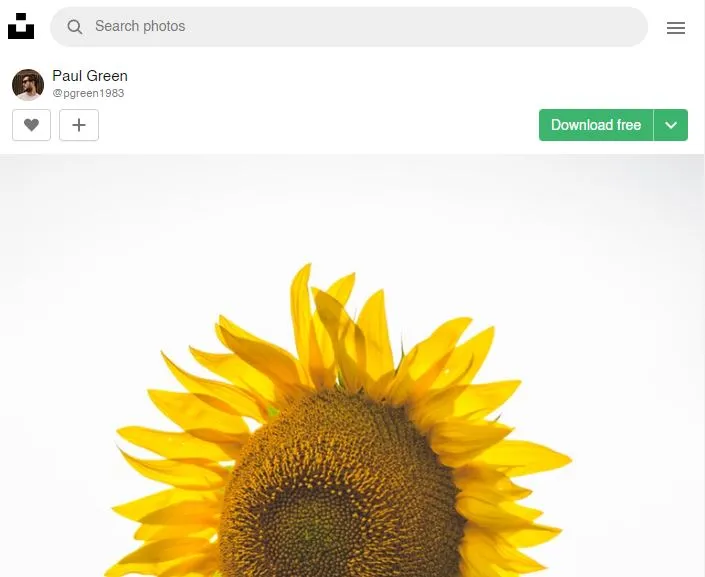 Foto de una flor del usuario Paul Green del sitio web de Unsplash.