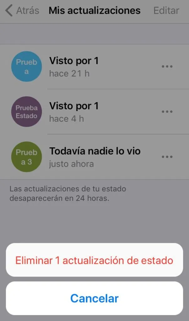Modal con la opción “Eliminar 1 actualización de estado” del menú de los estados de WhatsApp.