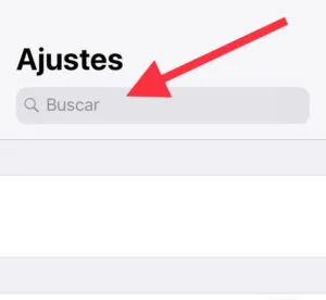 Barra de búsqueda del menú de ajustes de un iPhone.