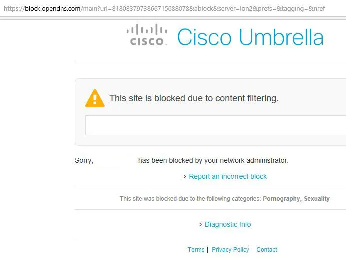 Navegador web mostrando un mensaje de OpenDNS diciendo que la página a la que el usuario intentó entrar está bloqueada debido a que es una página con contenido sexual.