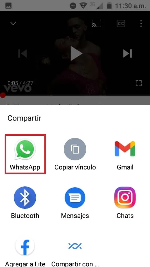 Seleccionar Whatsapp