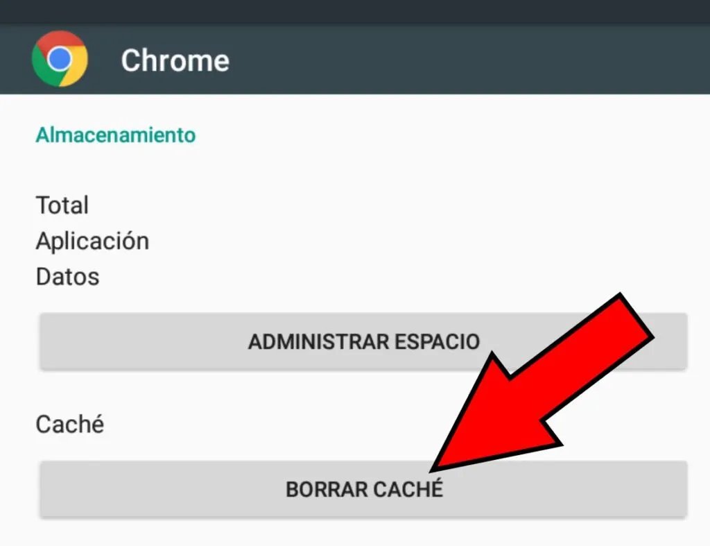 Botón “BORRAR CACHÉ”.