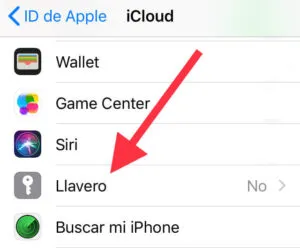 Opción “Llavero” del menú “iCloud”.