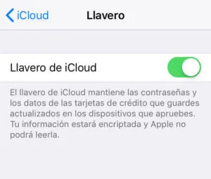 Opción “Llavero de iCloud” activada del menú del apartado “Llavero”.