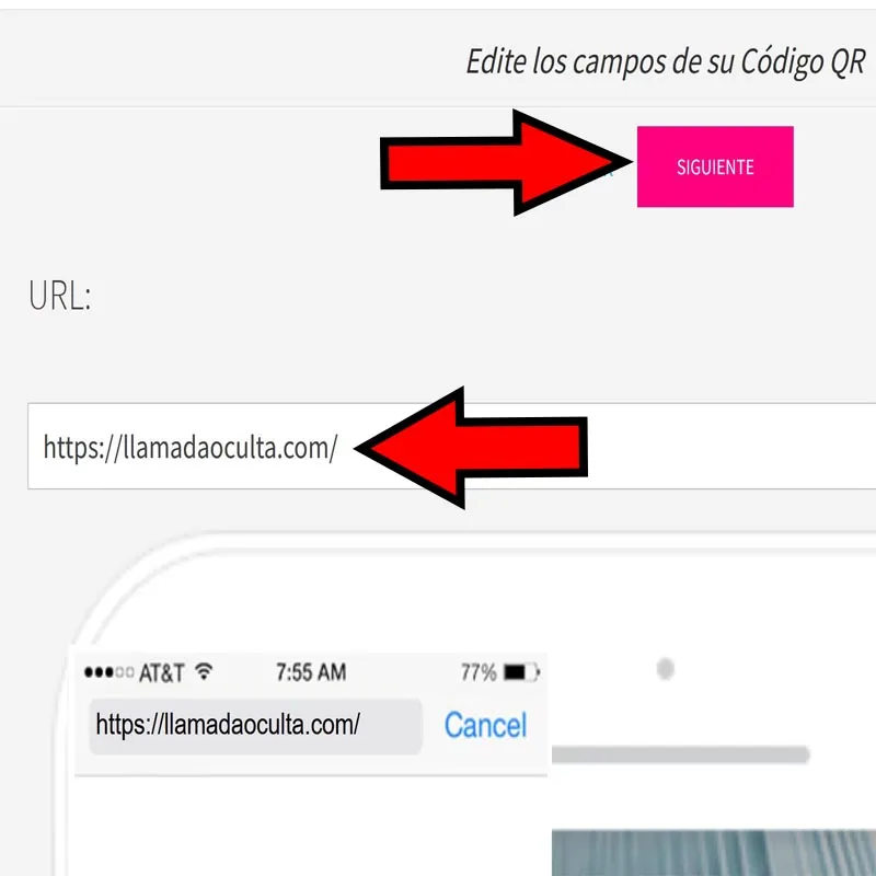 Casilla de la opción “URL” y botón “Siguiente”.