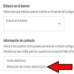 Perfil de YouTube mostrando un apartado en donde el usuario puede hacer público su email.