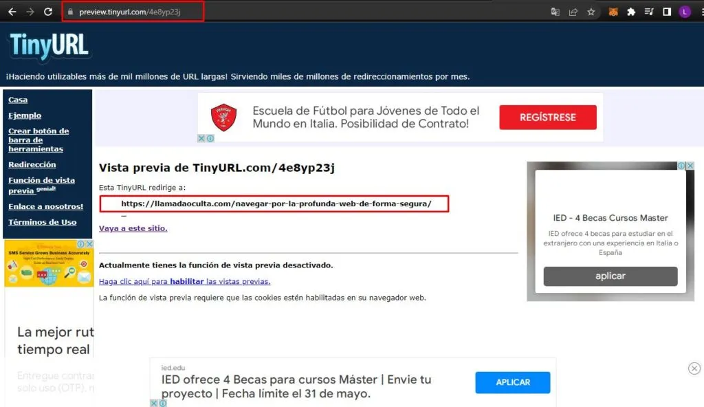 Previsualización en TinyURL
