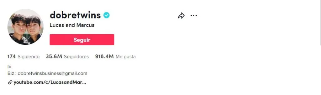Cómo poner enlaces en TikTok