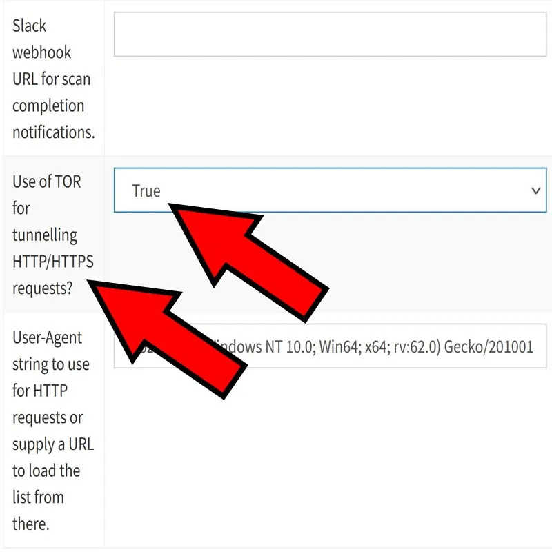 Apartado “Use of TOR for tunnelling HTTP/HTTPS requests?”, y menú mostrando la opción “True”.