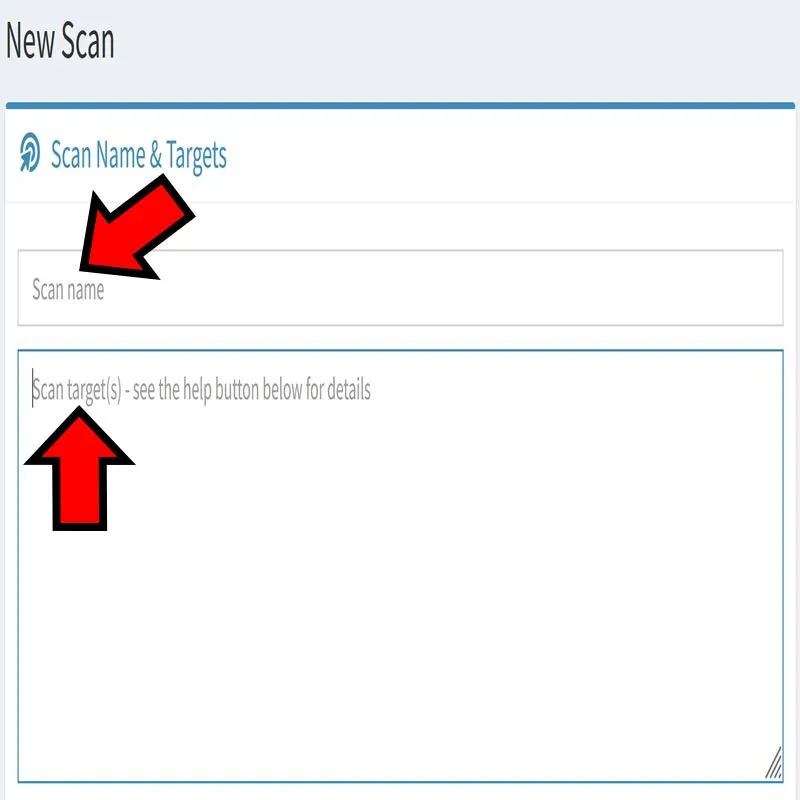 Casillas “Scan name” y “Scan target” de SpiderFoot.