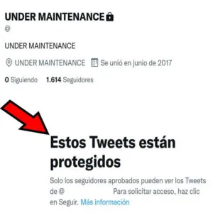 Perfil de Twitter de un usuario, en donde se observa que los tweets están ocultos si no obtienes la aprobación del usuario.