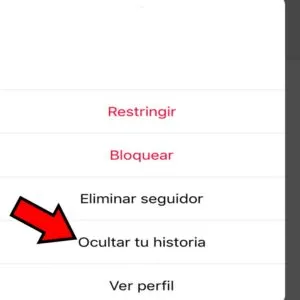 Modal con la opción “Ocultar tu historia”. 