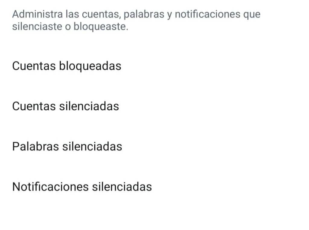 Seguridad en Twitter