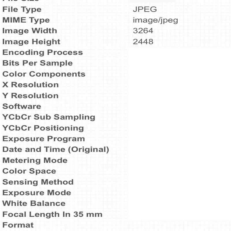 Otros metadatos de una foto obtenidos desde EXIF Data Viewer.